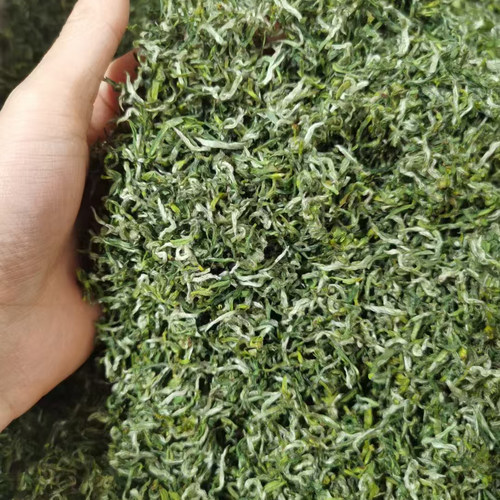 2026保康新茶芽毛尖绿茶250g