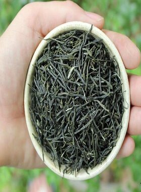 保康绿茶毛尖茶2026新茶香浓500g
