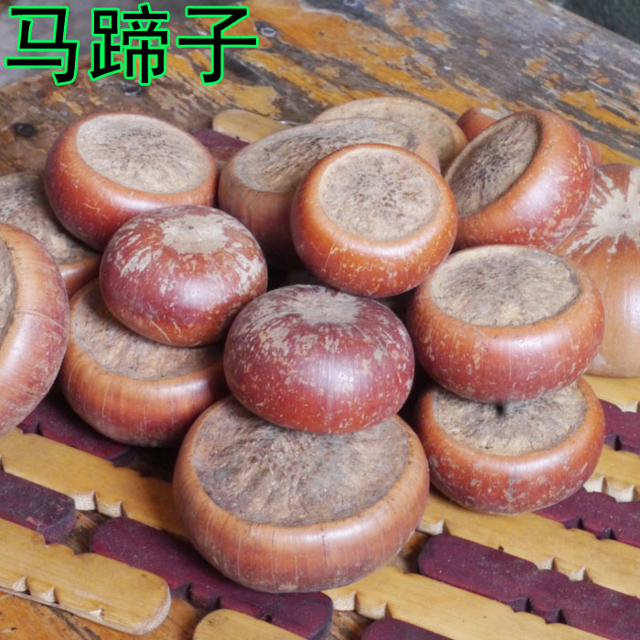 廣西野生風(fēng)流果平底馬蹄果風(fēng)流果 天竺粒龜頭子龜頭果500克包郵