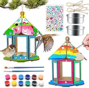 Feeders Art House Kit Kids Crafts Pack Bird DIY for