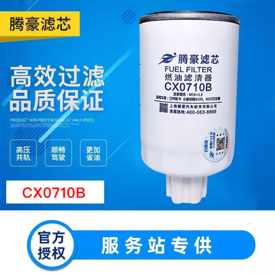 CX0710B柴油滤清器231-1105020柴油滤芯FS19544 YCX-6312 0710b1