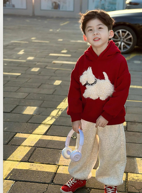男童冬季新款连帽卫衣儿童加厚毛毛立体耳朵上衣宝宝弯刀裤休闲裤
