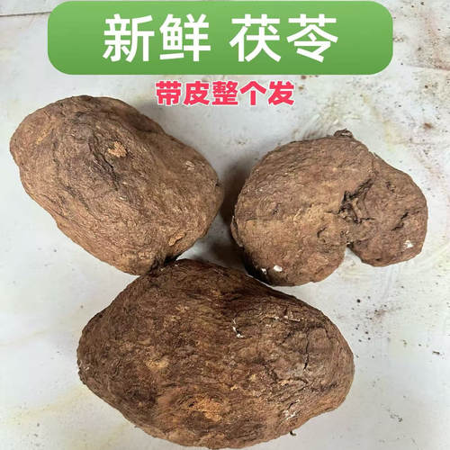 云南新鲜带皮整个白茯苓无硫500g包邮土特产带皮茯苓湿炖汤