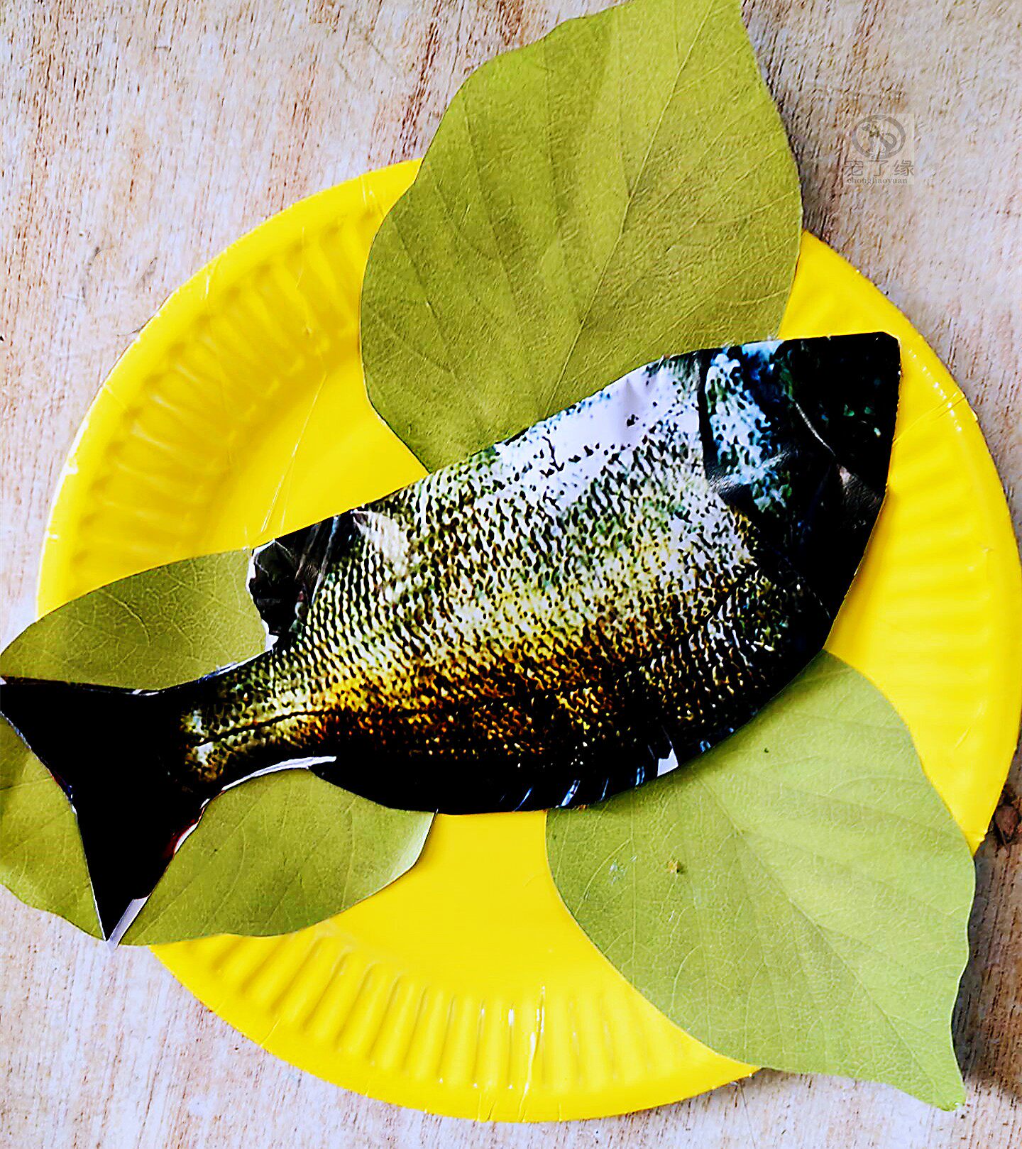 宠物殡葬祭奠念祀烧去世小猫狗仓鼠兔子火化骨灰头三五尾七