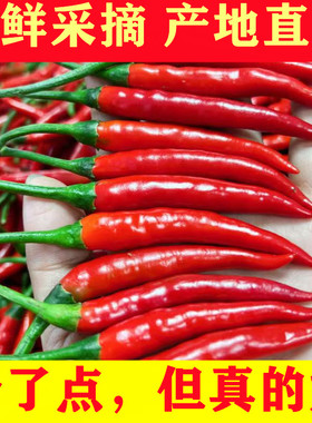 小米辣椒新鲜批发1/5斤朝天椒红辣椒指天椒特辣小米椒尖泡椒包邮