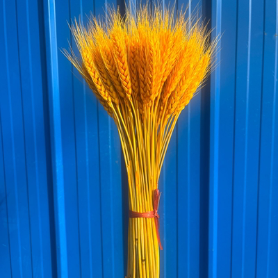 黄金麦穗干花大麦花束装饰客厅金色小麦送礼插花瓶仿真花摆件开业