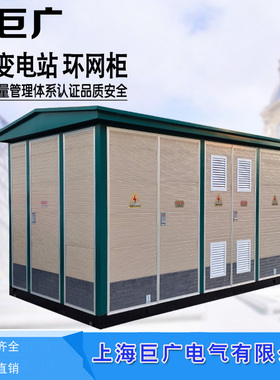 10KV预装箱式变电站 YB-10/630-2000-2500KVA 欧式箱变 美式箱变