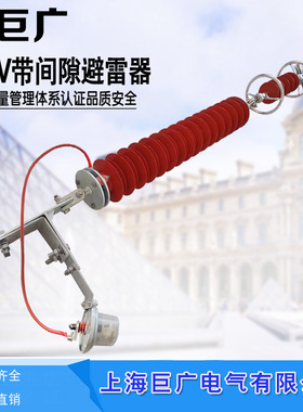 110KV悬挂式HY5WX-100/260 YH5CX-102/266高压线路型氧化锌避雷器