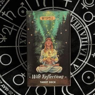 野性反思塔牌Wild Reflection tarot deck 英文卡牌游戏