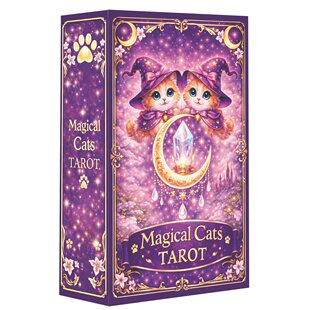 Tarot 天地盖12×7cm英文卡牌游戏 Cats 原创魔法猫咪塔牌Magical
