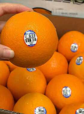 澳大利亚进口sunkist新奇士橙子脐橙新鲜水果多汁微酸大果好包邮