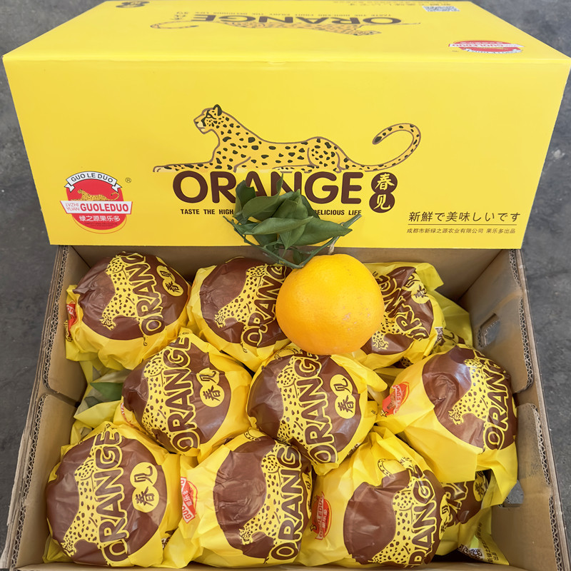 现货金钱豹春见粑粑柑7斤礼盒装味美多汁新鲜水果四川特产好包邮