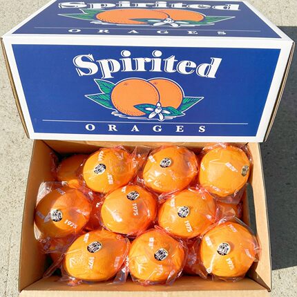 黑标3107脐橙子7斤礼盒装多汁当季好大果秭归伦晚脐橙好吃的包邮