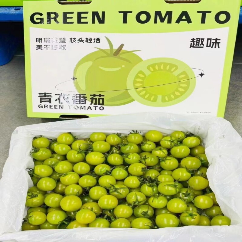 现货青衣番茄2斤礼盒装味甜多汁爆浆小番茄新鲜水果圣女果包邮