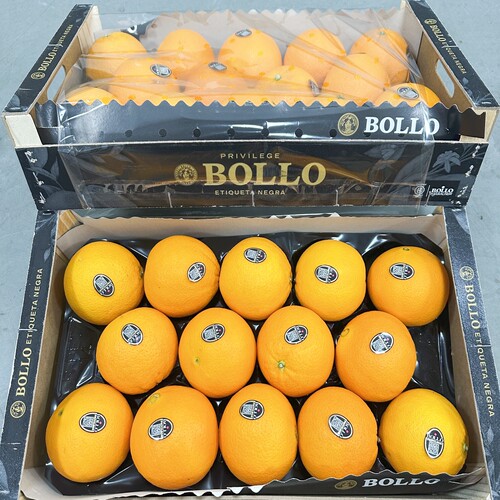 BOLLO西班牙进口宝露橙大果11斤