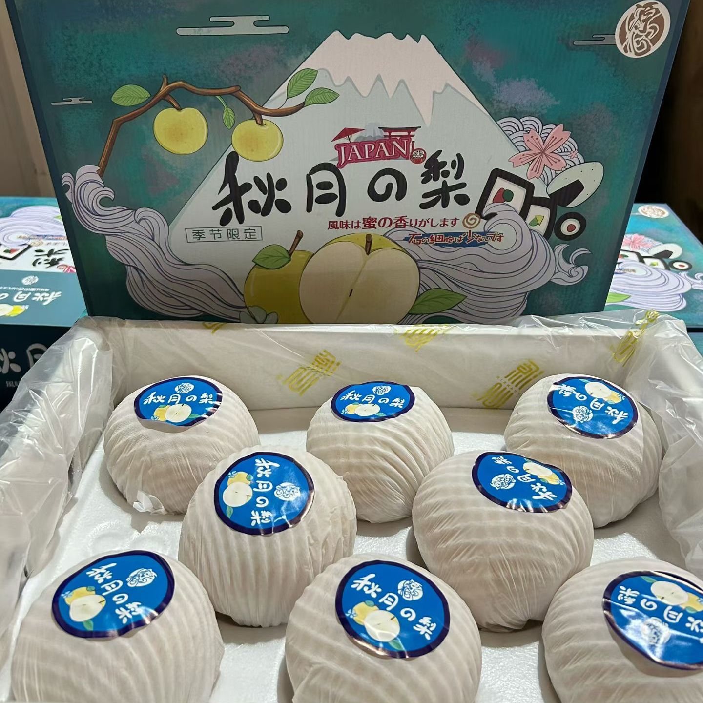 现货正宗山东秋月梨7斤礼盒装新鲜水果当季莱阳冰糖梨蜜梨好包邮