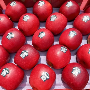 现货新西兰进口丹烁红玫瑰苹果dazzle脆甜多汁新鲜水果好吃的包邮