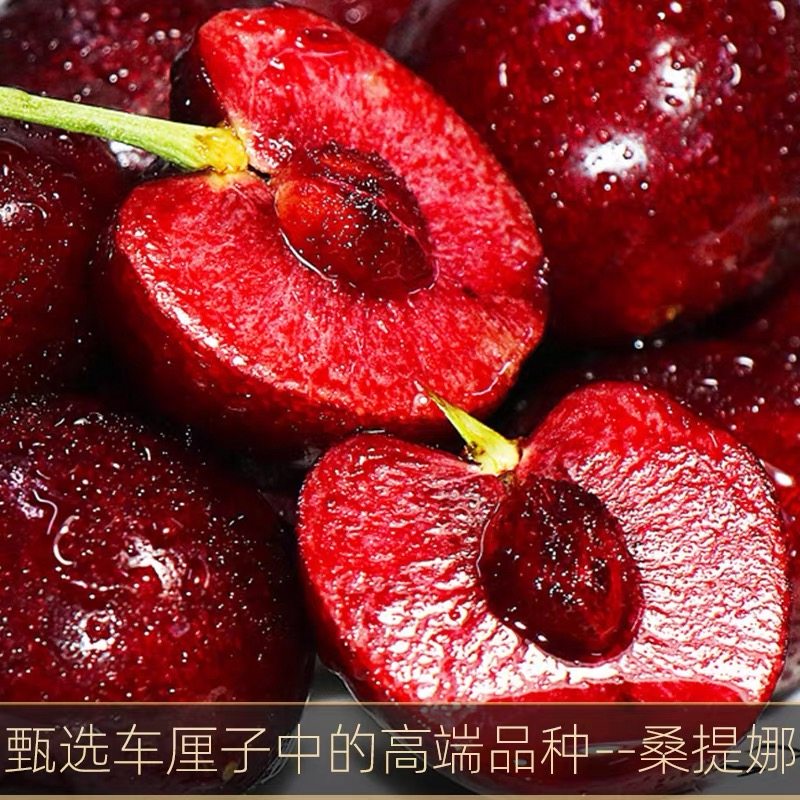 现货智利车厘子桑提娜5斤原箱礼盒装 加黑新鲜孕妇整箱顺丰,水产肉类/新鲜蔬果/熟食,车厘子/樱桃,淘宝优惠券,粉丝福利购,淘宝优惠卷