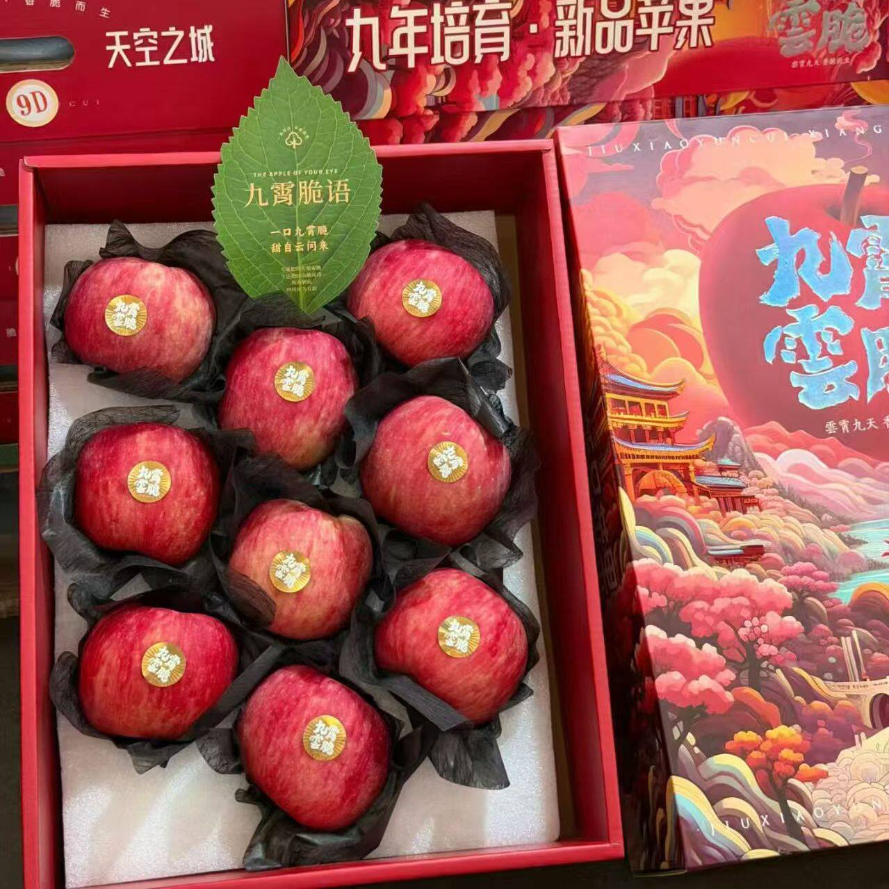 现货正宗陕西九霄云脆苹果礼盒装脆甜多汁新鲜水果当季好吃的包邮