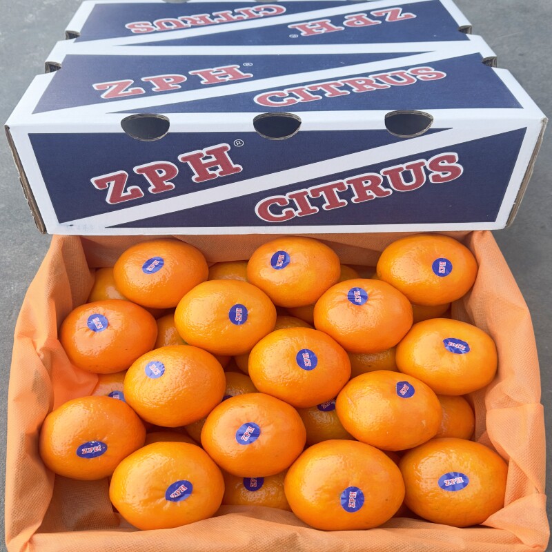 现货正宗澳橘ZPH8斤礼盒装蜜柑桔当季新鲜孕妇水果沃柑澳包邮