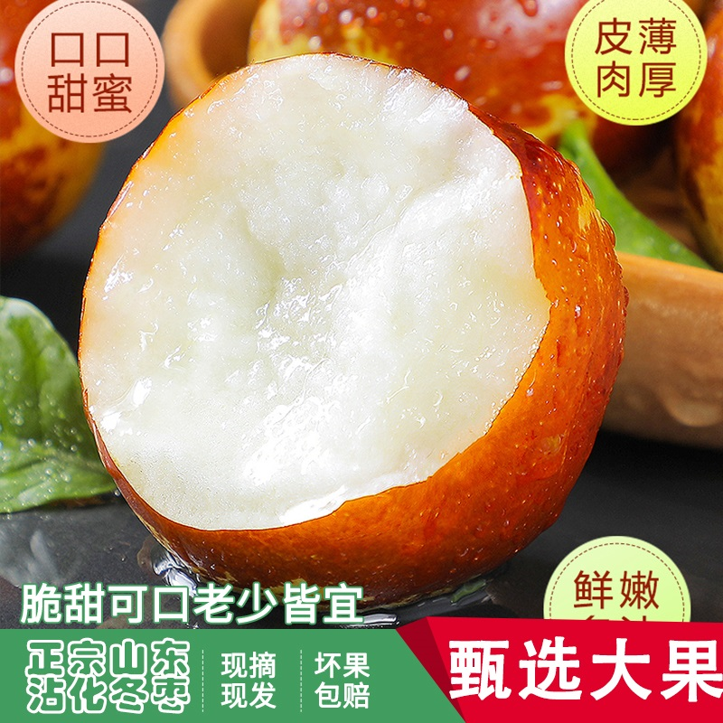 正宗山东沾化冬枣脆嫩可口新鲜冰糖枣子应季现摘精选品质整箱包邮