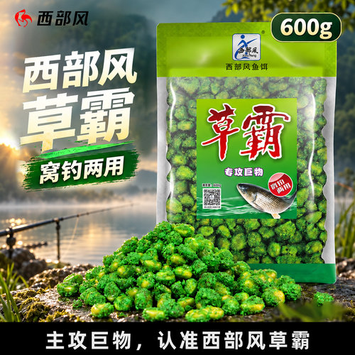 西部风玉米粒黑坑江河水库鱼饵