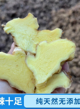 2025正宗云南小黄姜当季蔬菜应季云南小黄姜云南蔬菜