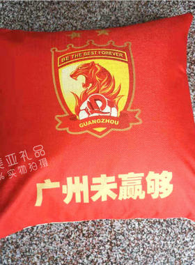 纪念品靠垫抱枕定制