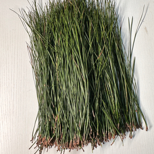 松枝深山马尾松叶阴干松针茶酵素泡酒蒸笼垫500包邮