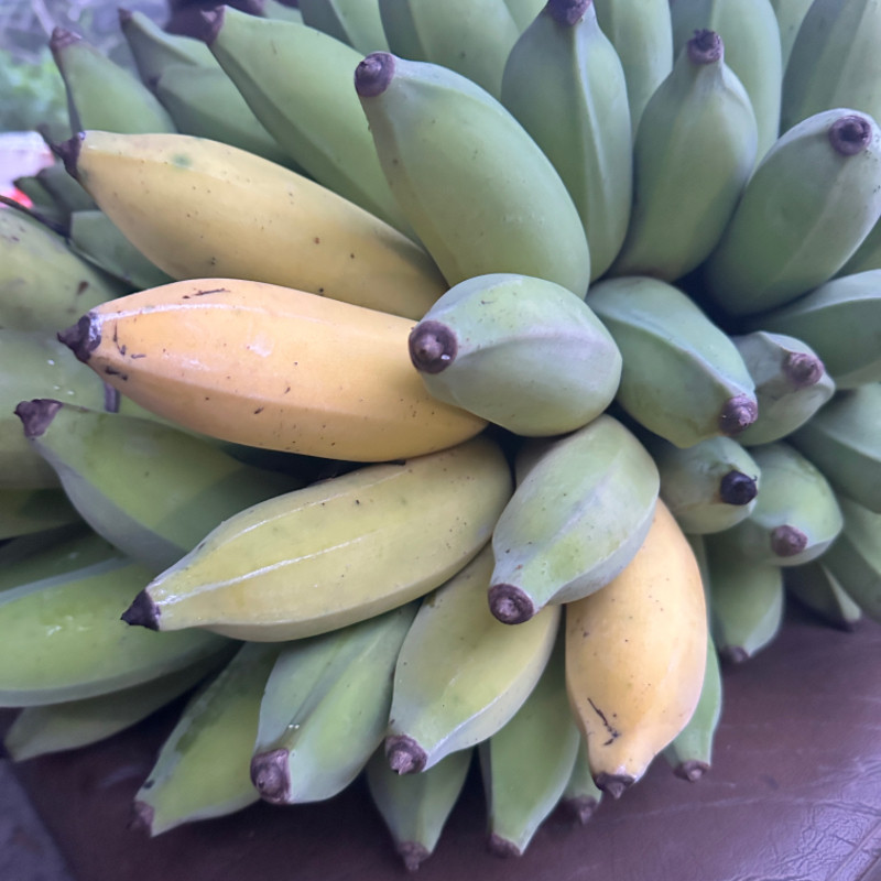 现摘广东小米蕉当季新鲜水果5斤整箱自然熟苹果蕉香蕉帝皇焦粉焦