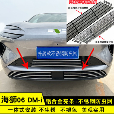 比亚迪海狮06dmi中网防虫网饰条