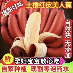 海南三亚热带水果新鲜水果香甜红皮小红香蕉咖啡蕉