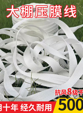 佳盈大棚专用压膜绳温室配件加厚耐磨防晒压膜线白色抗老化压膜带