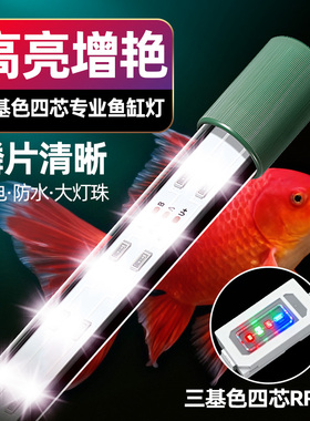 红白蝴蝶鲤三基色增艳灯罗汉鹦鹉锦鲤防水大缸深缸高亮鱼缸led灯