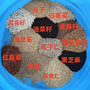 鸽粮饲料红花籽红高粱籽鸽子花椒籽油菜籽亚麻籽金丝雀籽麻子 5斤