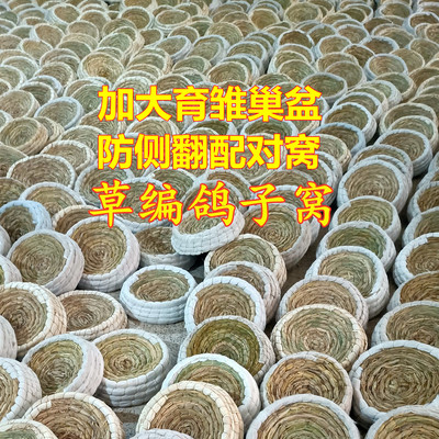 鸽子巢窝蛋盆用品塑料玉米烟斗