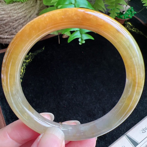 圆条54圈口缅甸天然A货老坑种玉镯平洲翡翠手镯精选编号047D0403E