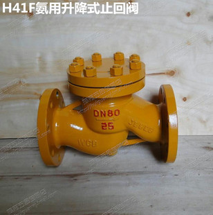 H41F 40氨用止回阀液化气天然气煤气油品法兰单向阀