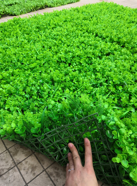 仿真绿植墙植物墙装饰壁挂门头背景形象墙面绿色假草假花上海安装