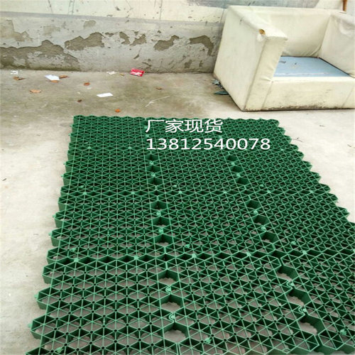 加强型植草格消防通道用植草格厂家现货5公分植草格七公分植草格