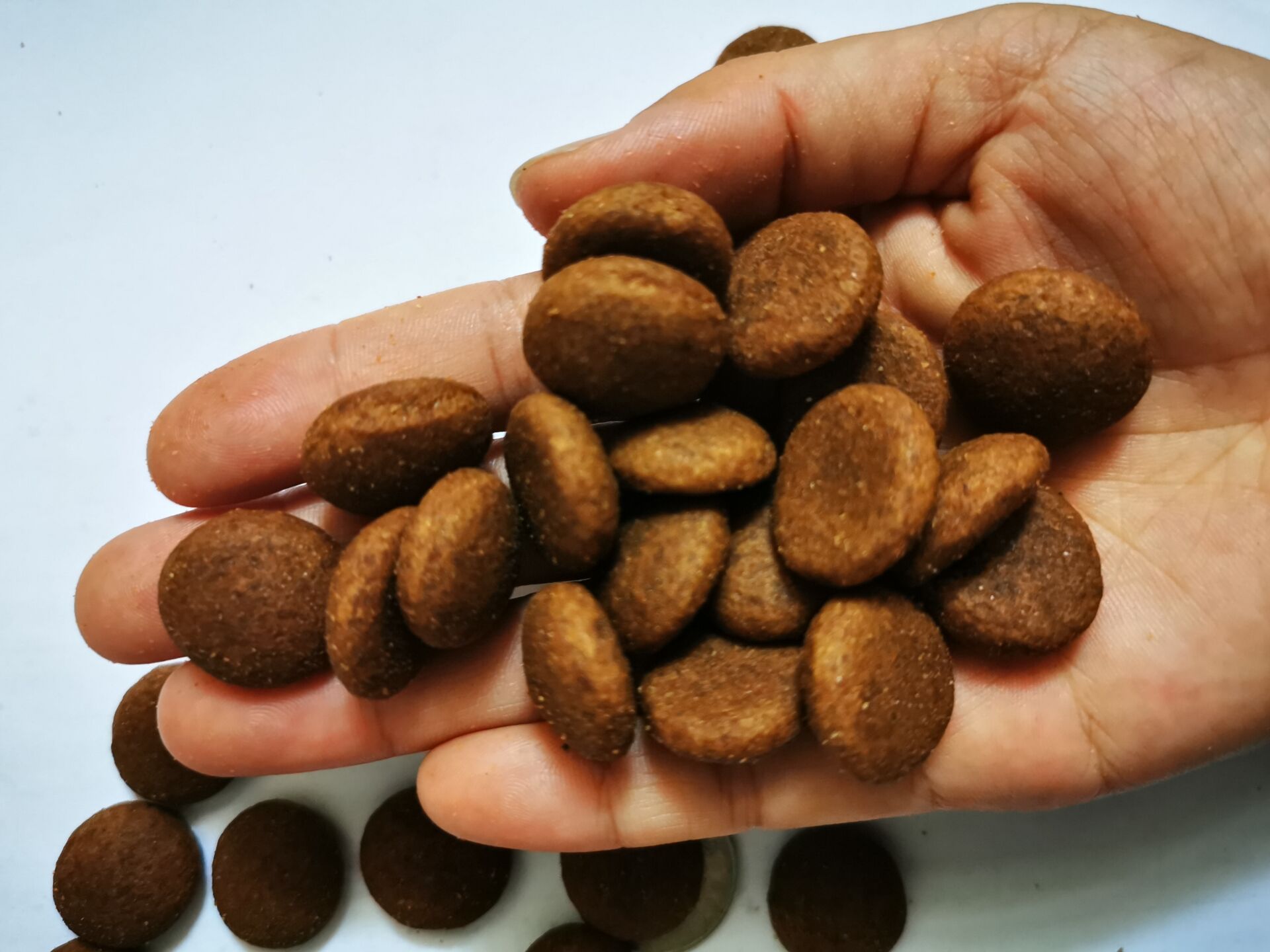 德牧黑狼马犬二哈专用训犬狗粮