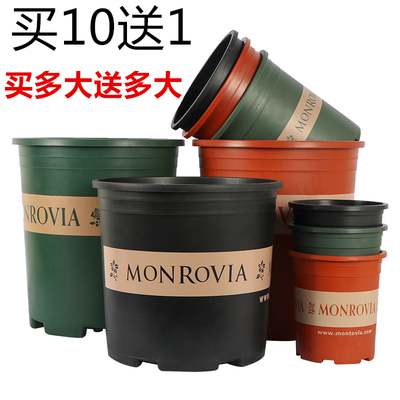 塑料高款花盆绿萝多肉加厚加仑盆