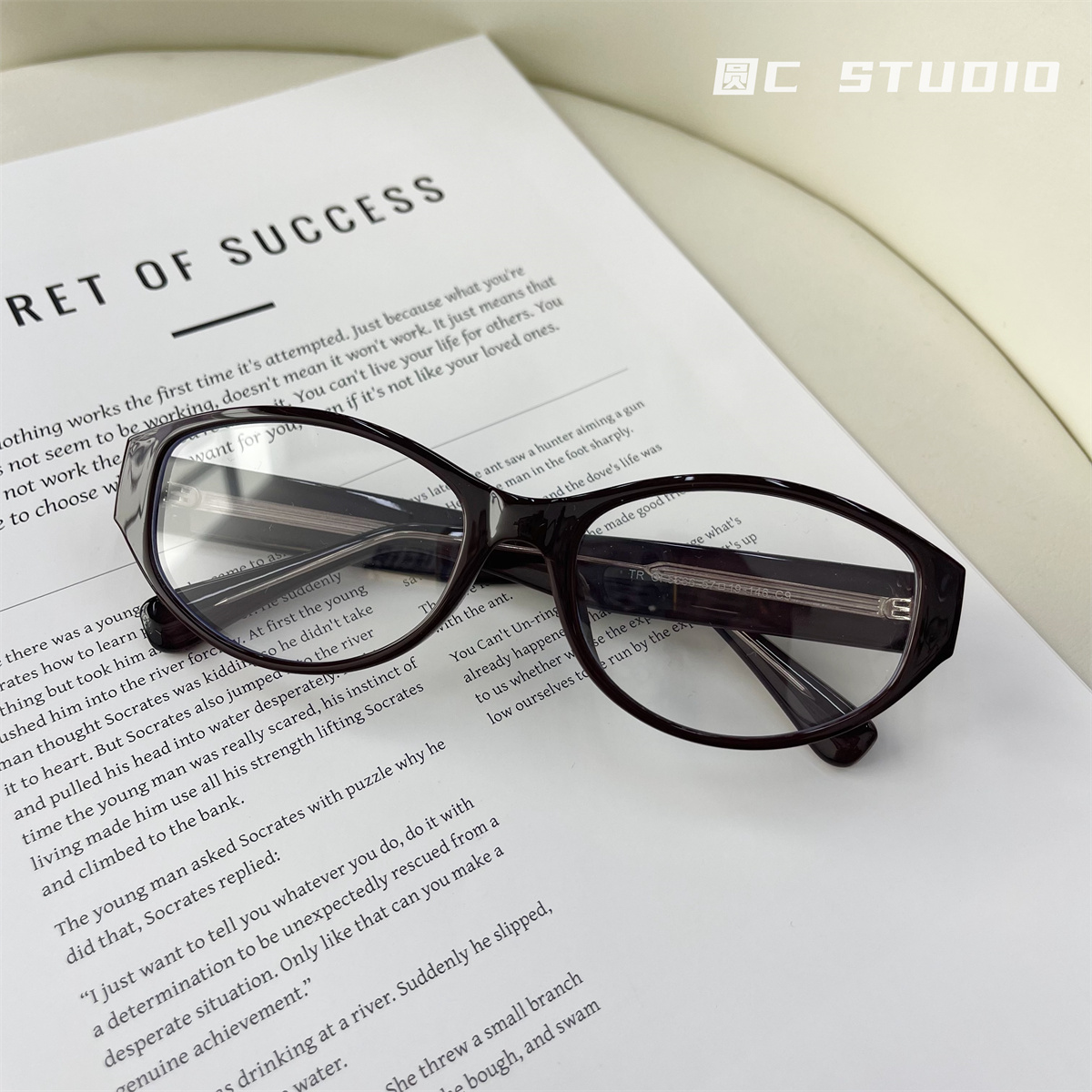 素颜黑框显瘦遮脸平光镜可配度数