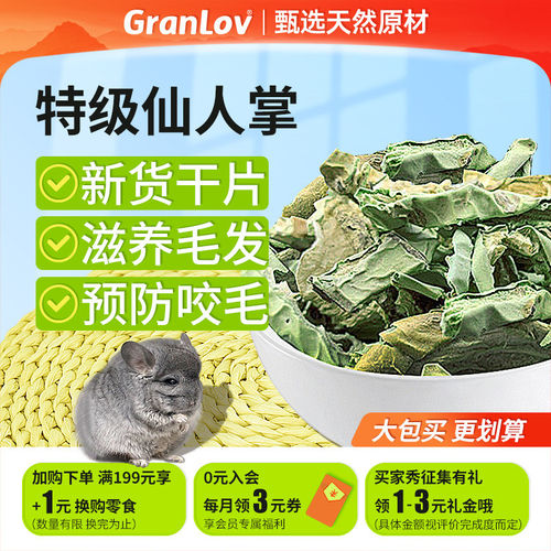 仙人掌干预防缓解治疗龙猫咬毛