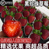 真红美玲黑色草莓新鲜现摘黑珍珠黑美人鲜果草莓当季 顺丰 水果