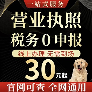 全国营业执照税务年度汇算清缴税务季度申报月报年报个人所得报税