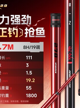 佳钓尼刺客黑坑专用钓鱼竿手竿6H8H超硬19调罗非竿飞磕竞技台钓杆