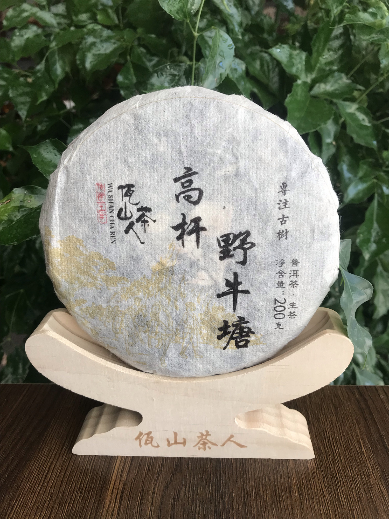 佤山茶人2021年挑采易武野牛塘森林高杆古树茶普洱生茶200克春茶