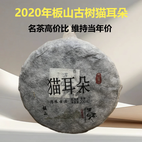 中小叶种古树猫耳朵普洱生茶叶