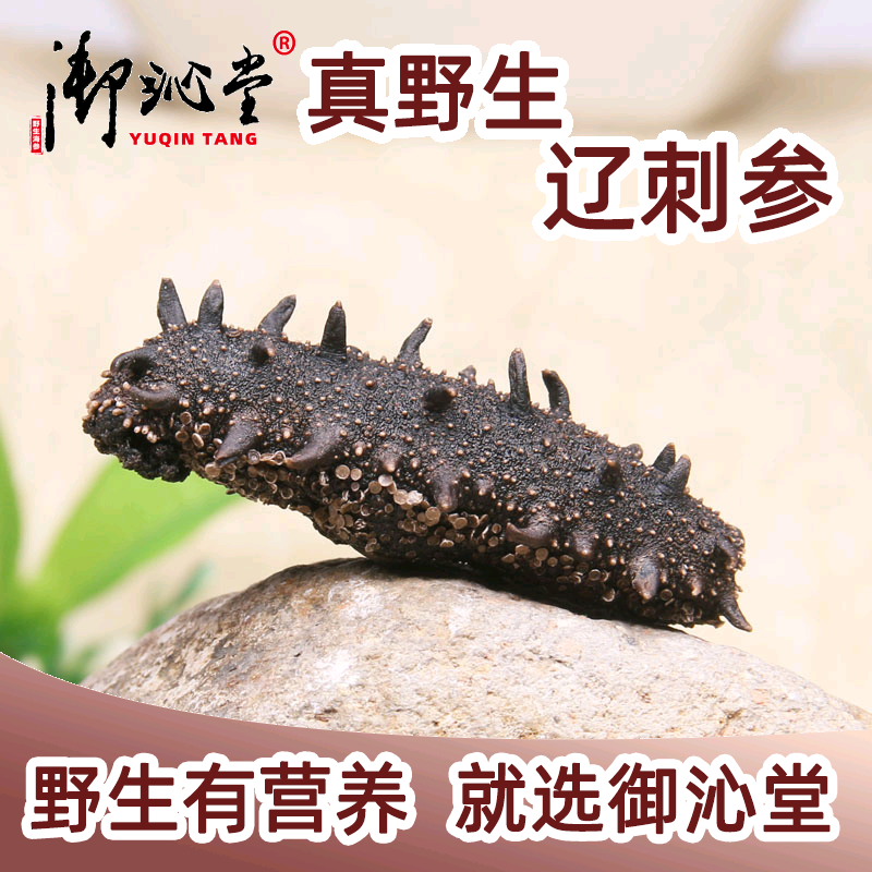 御沁堂大连海参干货淡干刺参旗舰店野生散装辽宁孕妇50克海叁辽参